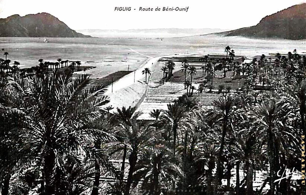 Figuig - Route de Beni-Ounif.jpg